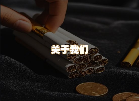 关于蓝帝网